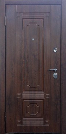 Двери для дачи CDACH-72 в Дедовске фото