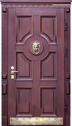 Двери для дачи CDACH-74 в Дедовске фото