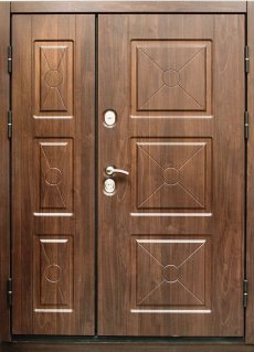 Двери тамбурные CTAMB-9 фото