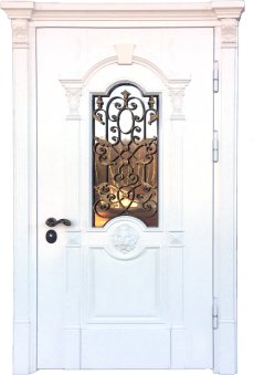 Двери в дом CKOTJ-49 фото